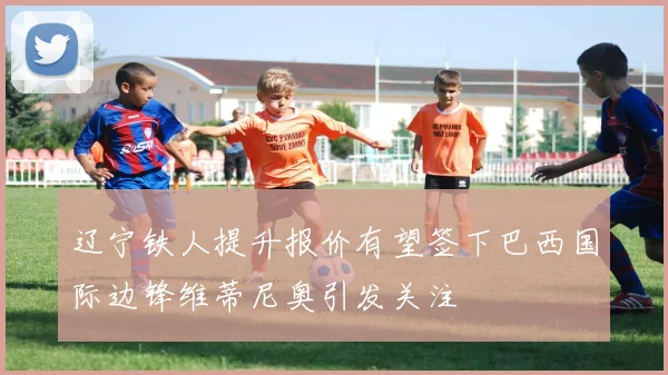辽宁铁人提升报价有望签下巴西国际边锋维蒂尼奥引发关注