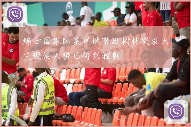 瑞士国家队集训地附近树林突发火灾现场火势已得到控制